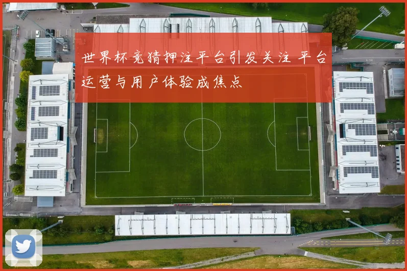 世界杯竞猜押注平台引发关注 平台运营与用户体验成焦点