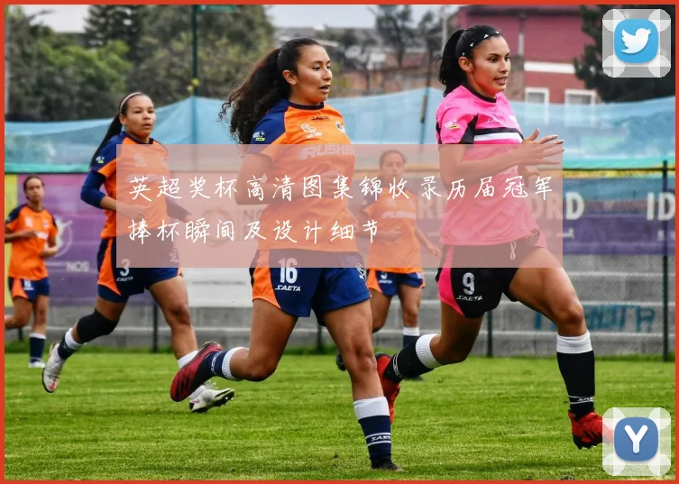 英超奖杯高清图集锦收录历届冠军捧杯瞬间及设计细节