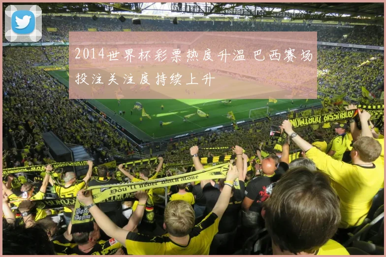 2014世界杯彩票热度升温 巴西赛场投注关注度持续上升