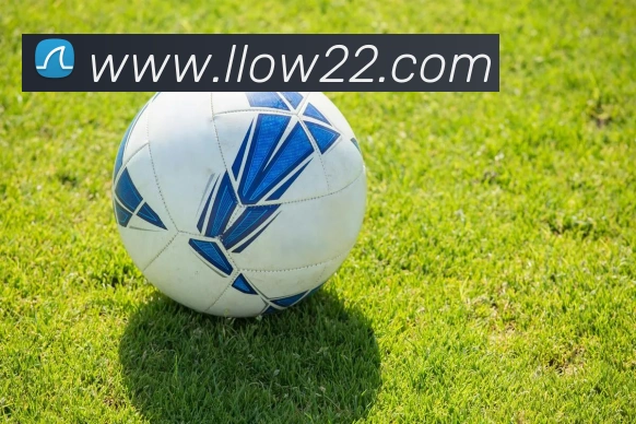 hth平台平台生态图